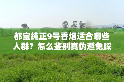 都宝纯正9号香烟适合哪些人群？怎么鉴别真伪避免踩坑？